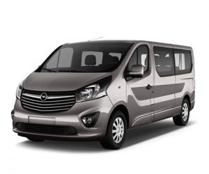 Vivaro 2019